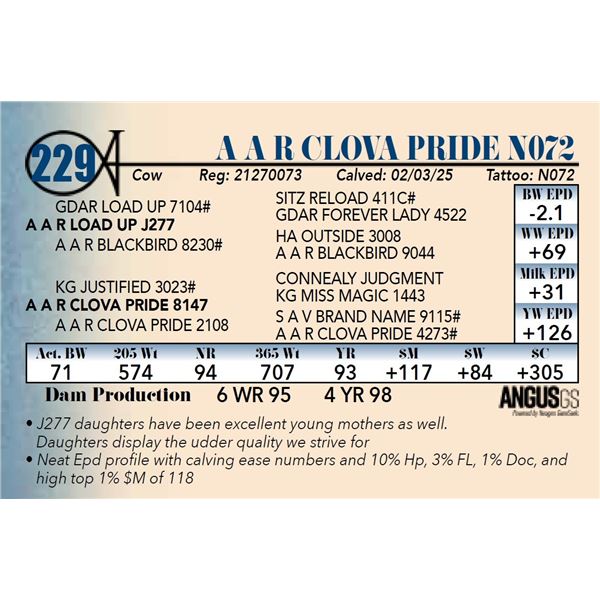 A A R Clova Pride N072