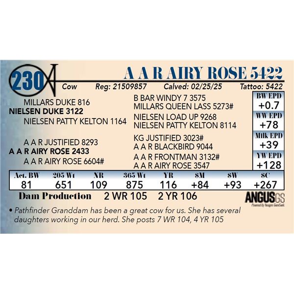 A A R Airy Rose 5422