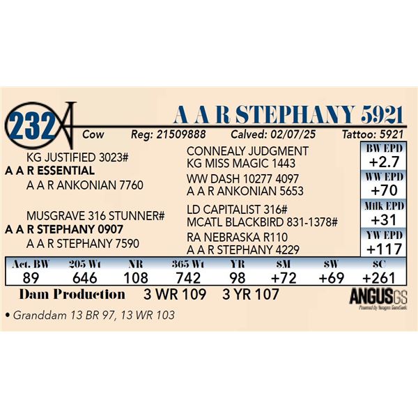 A A R Stephany 5921