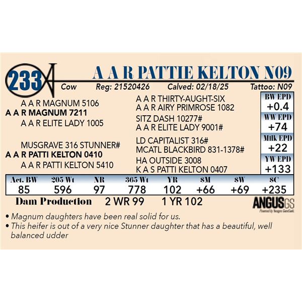 A A R Pattie Kelton N09