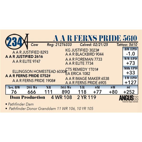 A A R Ferns Pride 5610