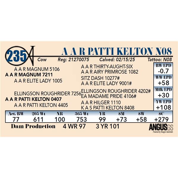 A A R Patti Kelton N08