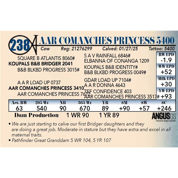 AAR Comanches Princess 5400