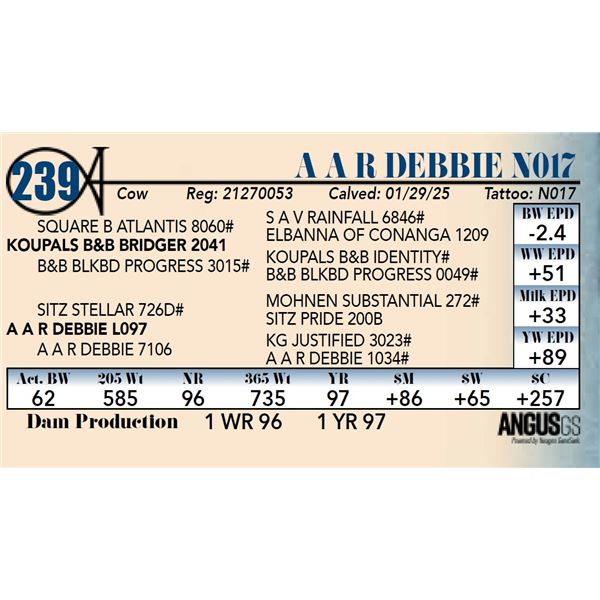 A A R Debbie N017