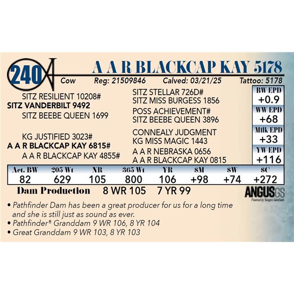 A A R Vanderbilt 5178