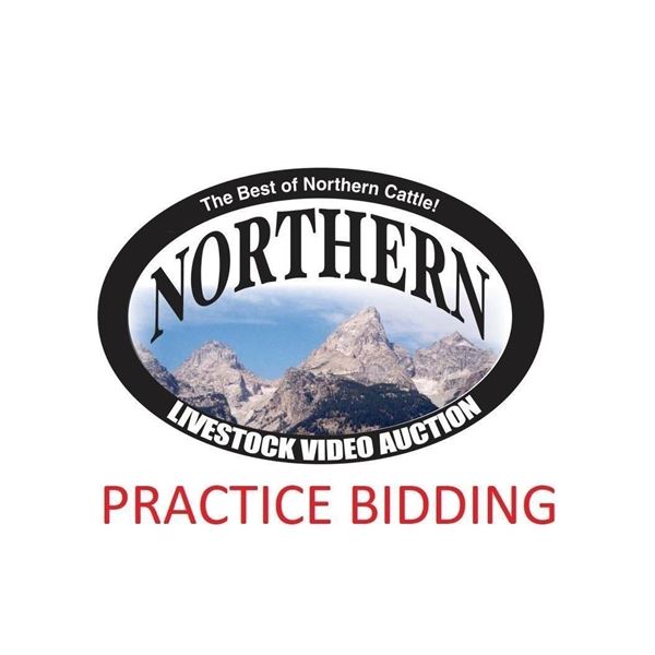 PRACTICE BIDDING