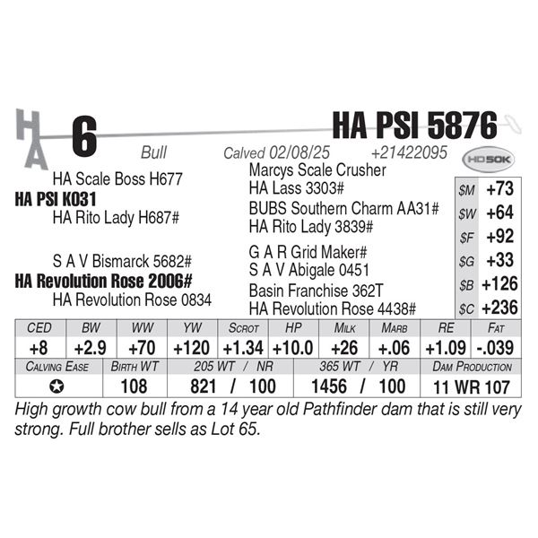 HA PSI 5876