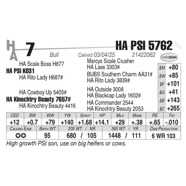 HA PSI 5762