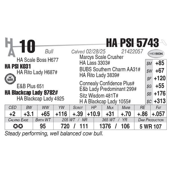 HA PSI 5743