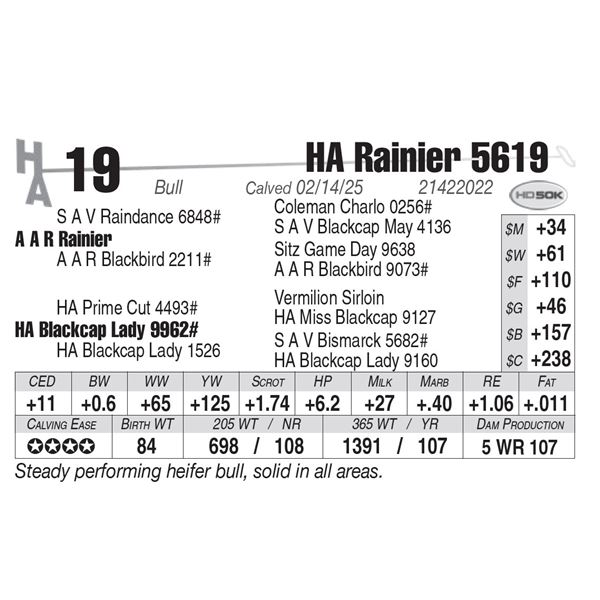 HA Rainier 5619