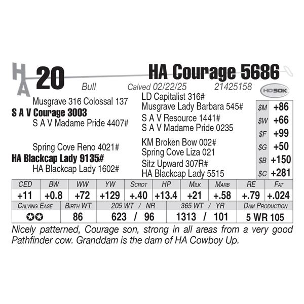 HA Courage 5686
