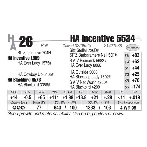 HA Incentive 5534