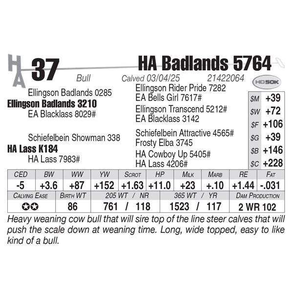 HA Badlands 5764