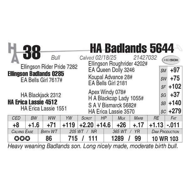 HA Badlands 5644