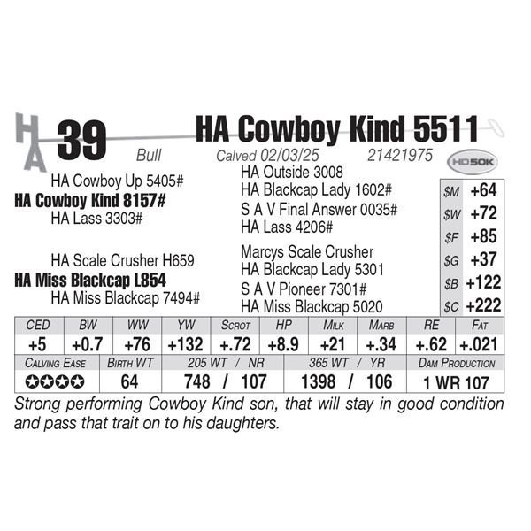 HA Cowboy Kind 5511