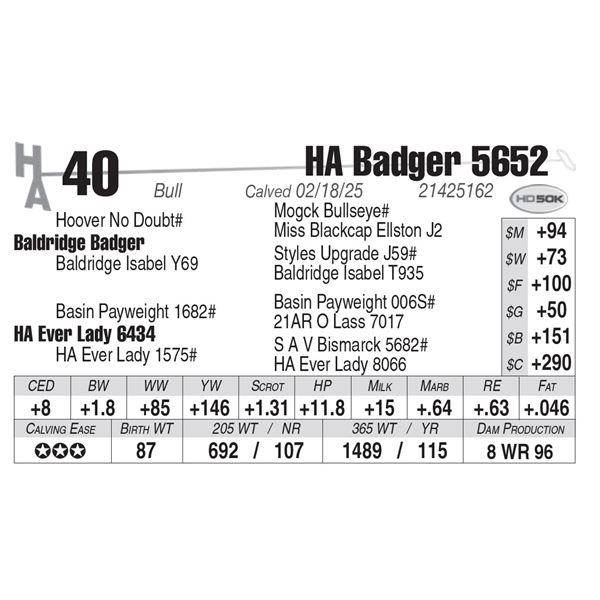 HA Badger 5652