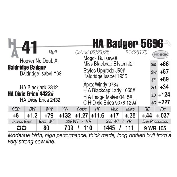 HA Badger 5696