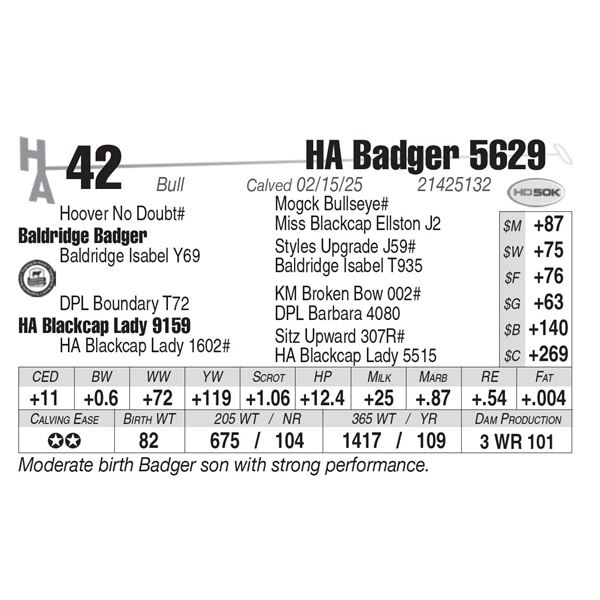 HA Badger 5629