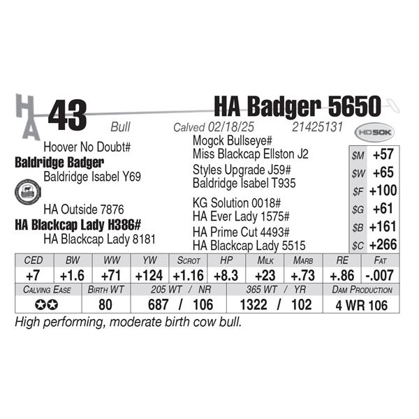 HA Badger 5650