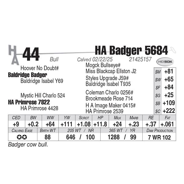 HA Badger 5684