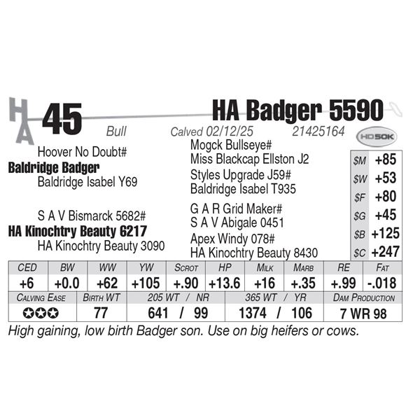 HA Badger 5590