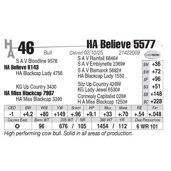 HA Believe 5577