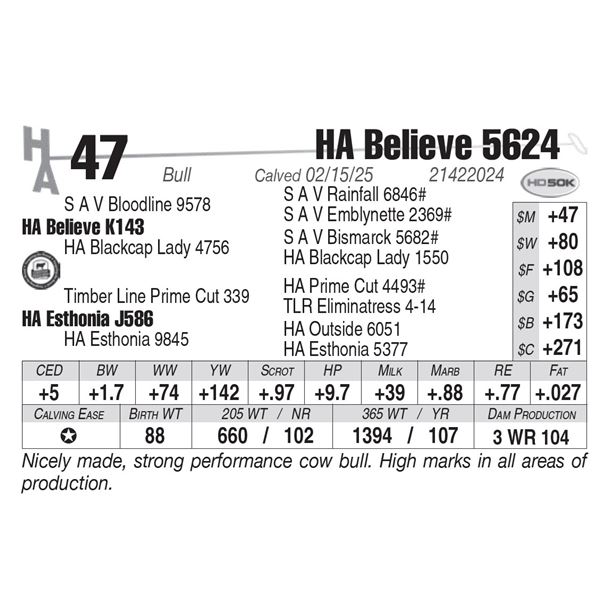HA Believe 5624