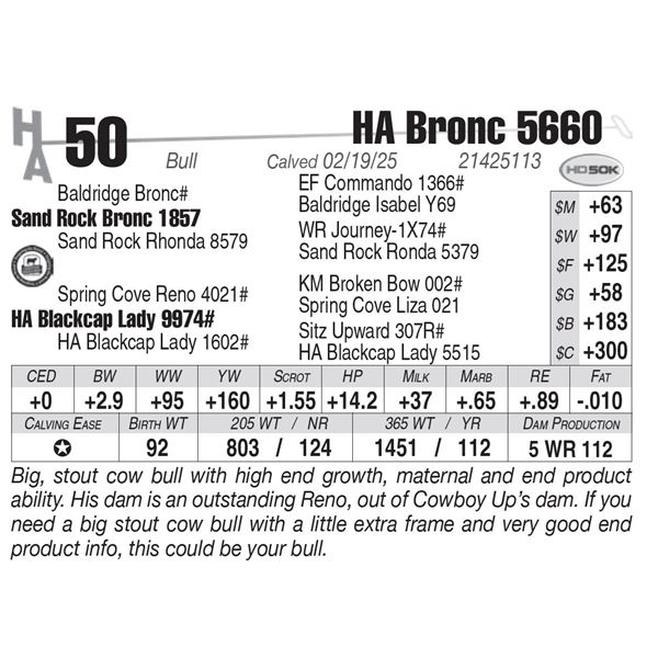 HA Bronc 5660