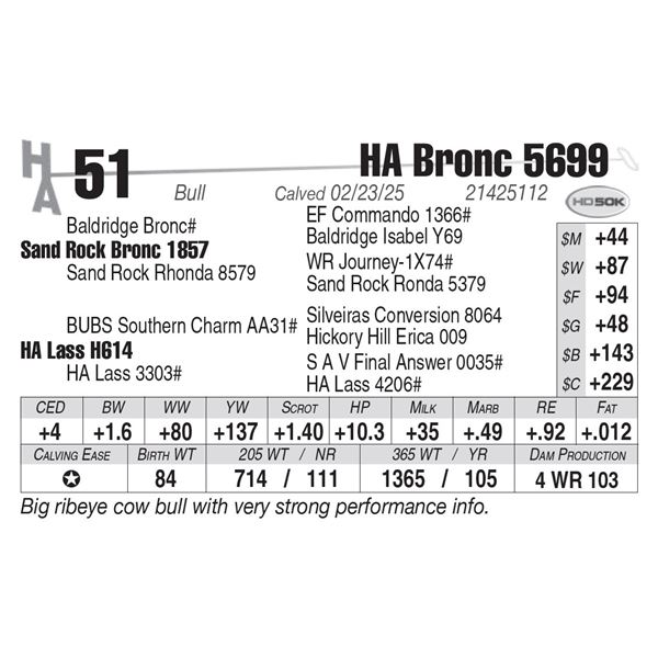 HA Bronc 5699