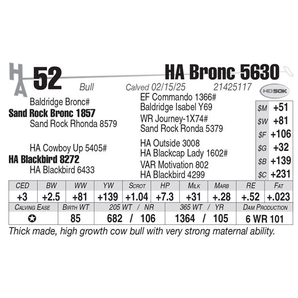 HA Bronc 5630