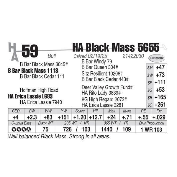 HA Black Mass 5655