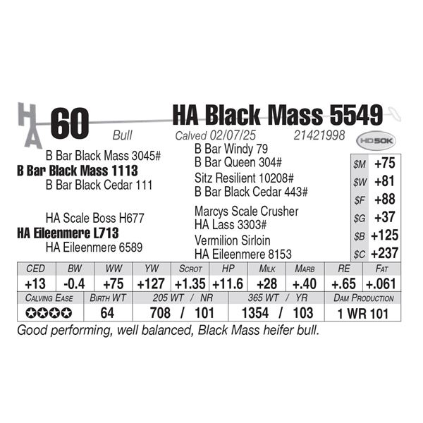 HA Black Mass 5549