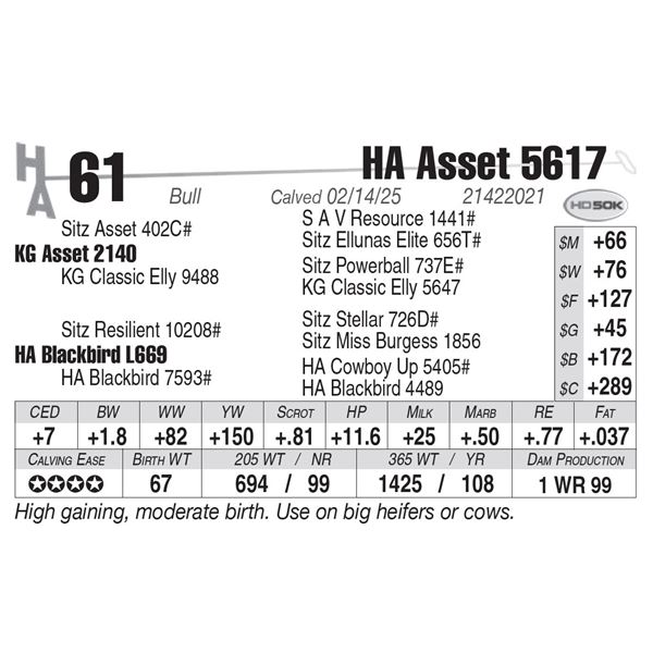 HA Asset 5617