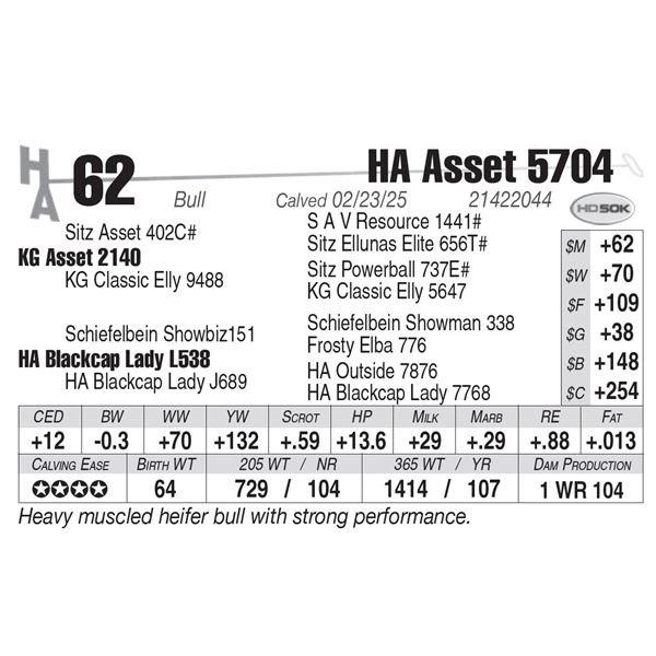 HA Asset 5704