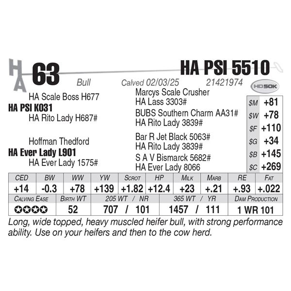 HA PSI 5510