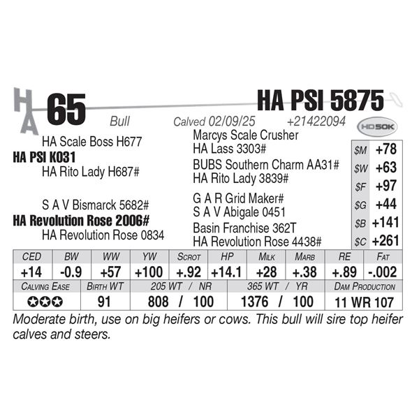 HA PSI 5875