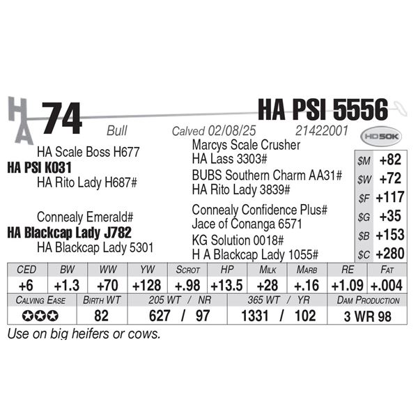 HA PSI 5556