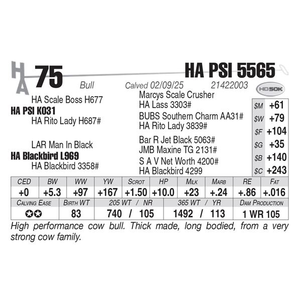 HA PSI 5565