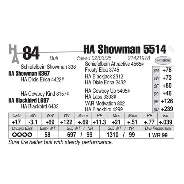HA Showman 5514