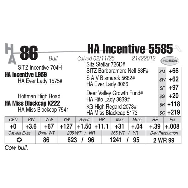 HA Incentive 5585