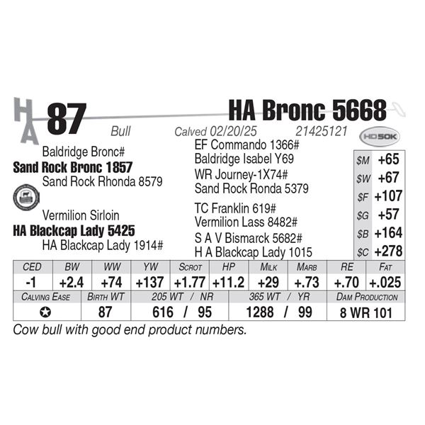 HA Bronc 5668