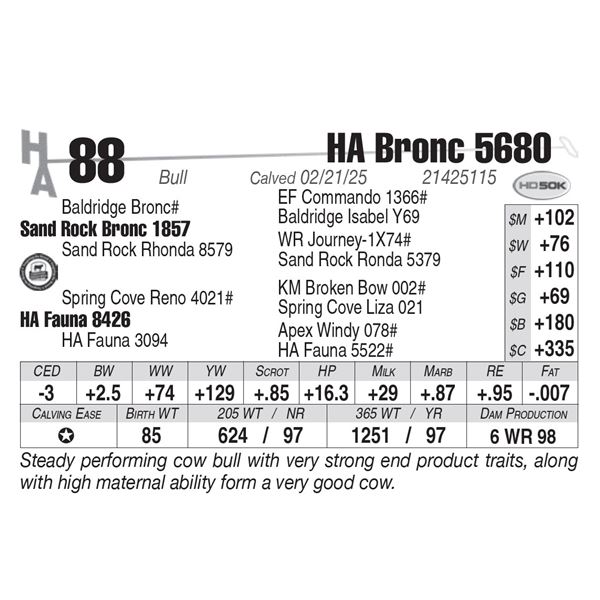 HA Bronc 5680