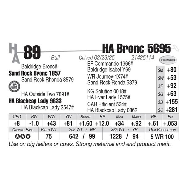 HA Bronc 5695