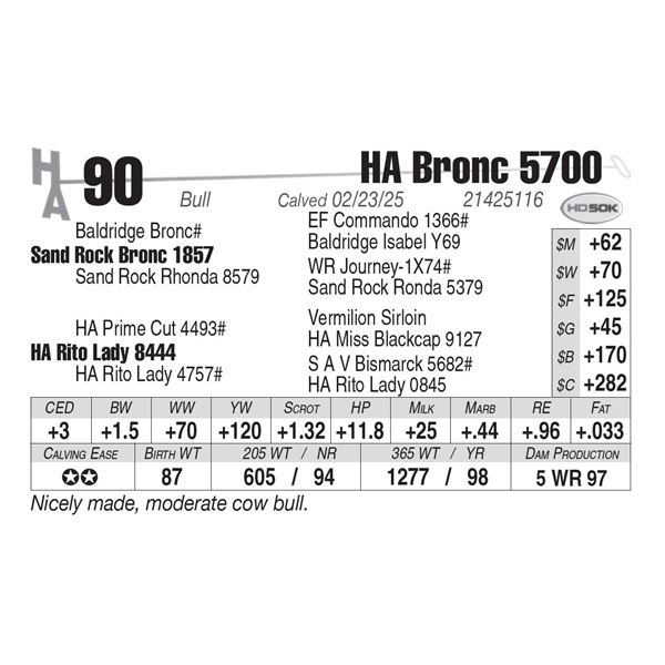 HA Bronc 5700