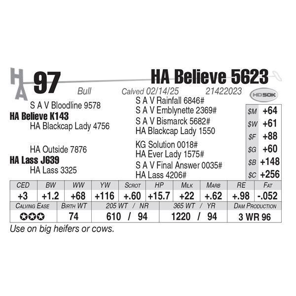 HA Believe 5623