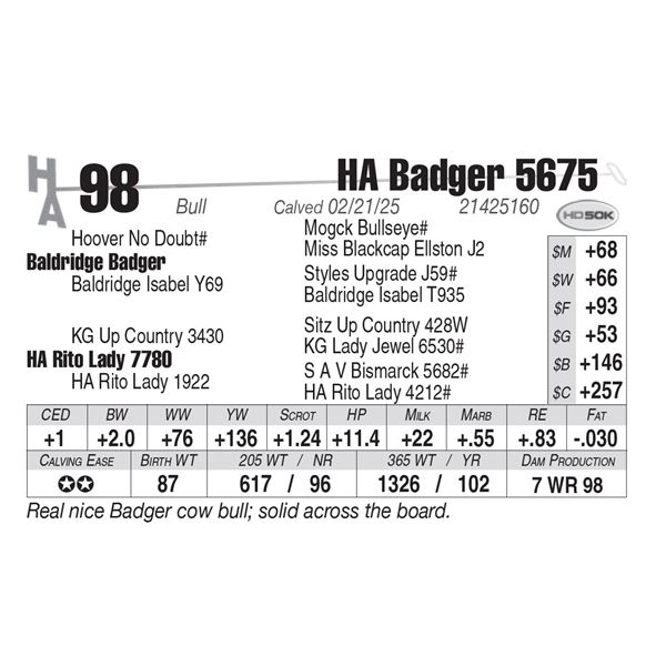 HA Badger 5675