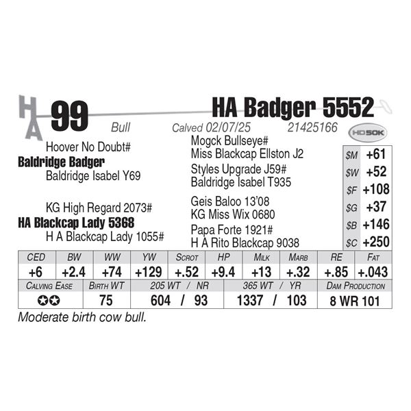 HA Badger 5552