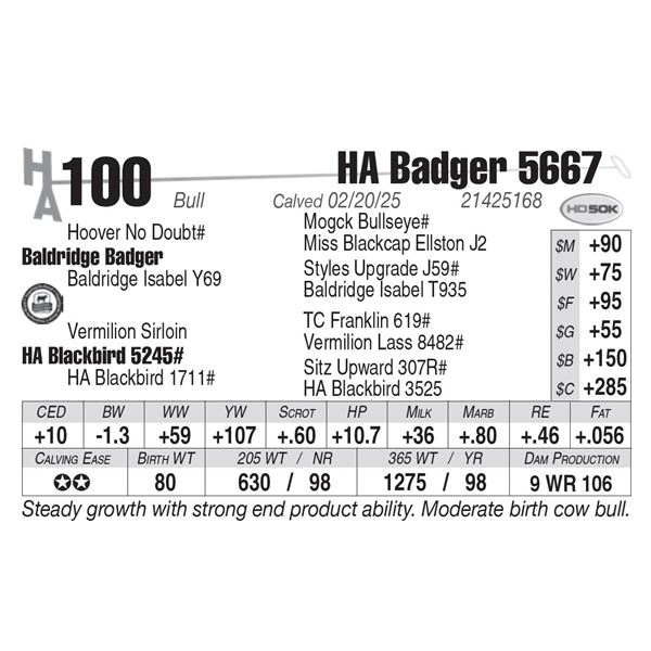 HA Badger 5667