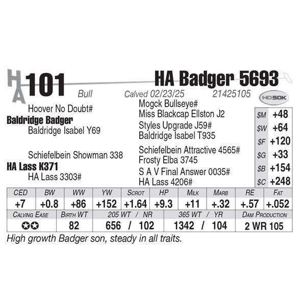 HA Badger 5693