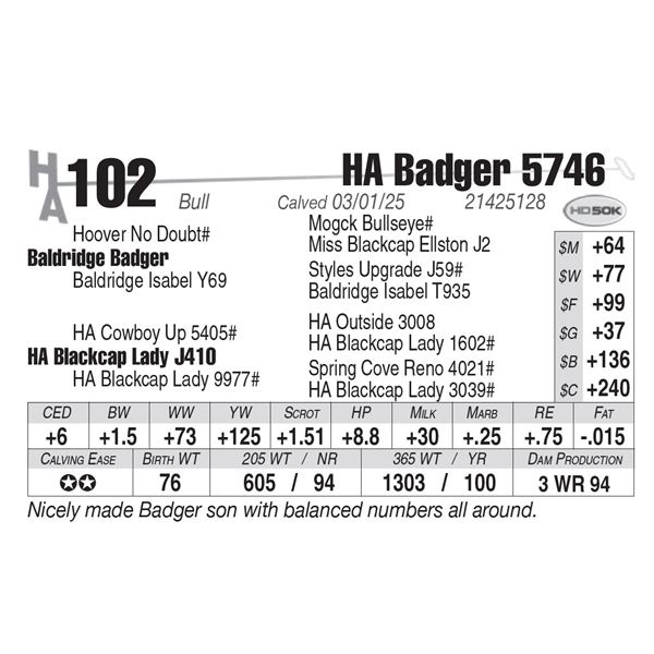 HA Badger 5746